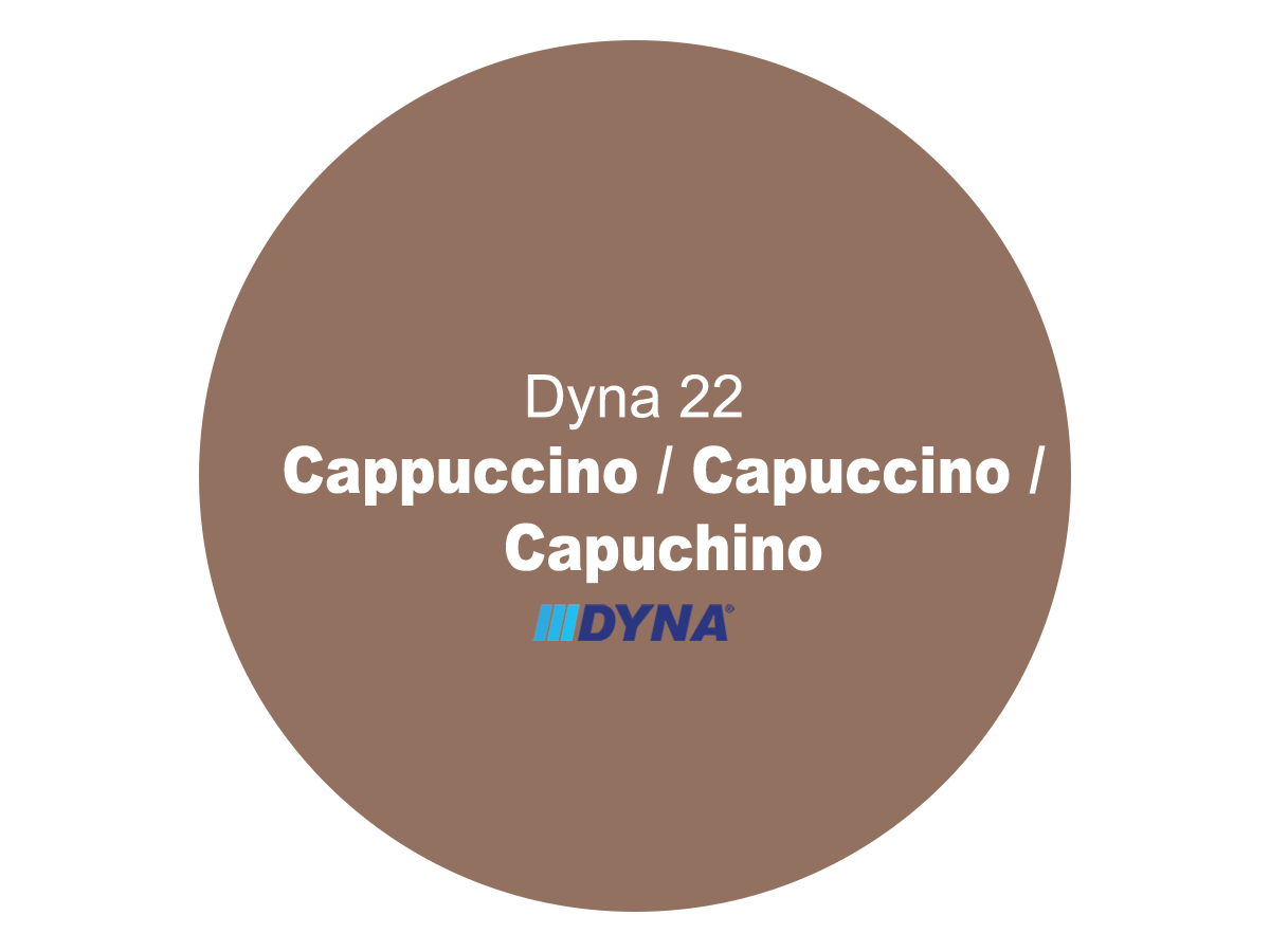 Dynacolor 2000 I 砂光瓷砖填缝剂